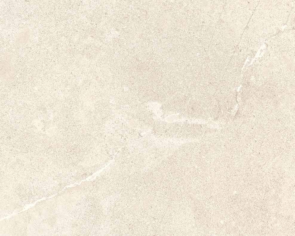 LIFE CERSAIE 07 GRES A IMPASTO COLORATO. FULL BODY COLOUR. EN ANNEX G BIA UGL V 0 FUGA MINIMA UNI EN ISO 055.6 <0 3 BCR TORTUS 0,0 DIN 530 R0 Naturale R Strutturato DIN 5097 A+B+C DCOF >0, COLORI.