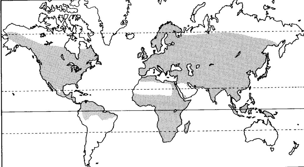 Distribuzione mondiale dei Ranidi oltre 50