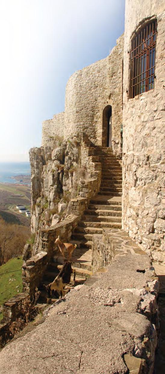 Il castello è sorto sulle fondamenta di un castelliere illirico (i fossati sono ancora visibili), mentre il villaggio viene nominato per la prima volta nel 1040 nel documento di Ulrich Weimar.