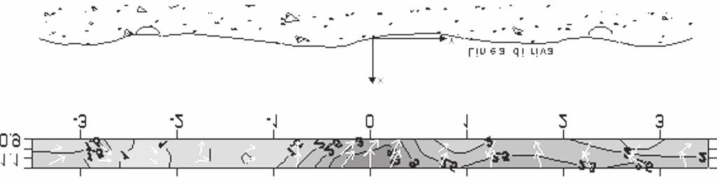 Studi costieri - 2008-14: 103-115 Onda morfologica In Figura 9(a) è riportata la mappa dei vettori velocità nel piano orizzontale insieme alla rappresentazione per curve di livello del modulo del