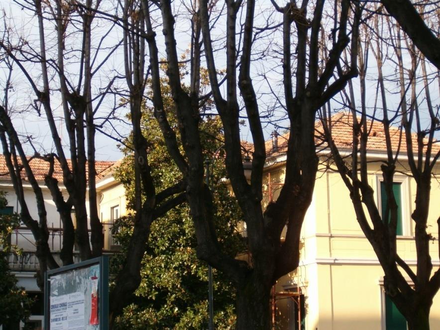 entrata (sezione primavera) che in uscita con la scuola primaria di