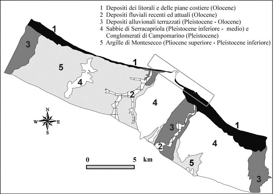 Studi costieri - 2007-13: 75-92 in destra del Sinarca sono presenti le formazioni delle Sabbie di Serracapriola e dei Conglomerati di Campomarino (Foglio n.
