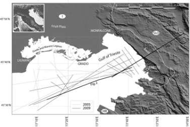 serie di unità paleogeografiche tra cui la Piattaforma Carbonatica Friulana a est e il Bacino di Belluno a ovest.