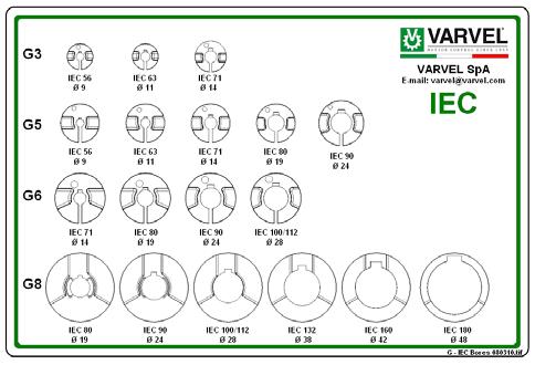 Descrizione Giunto elastico G Semi-giunto riduttore Materiale: Acciaio 20MnCr5 Integrale con l albero di entrata Supportato con due cuscinetti Dimensioni dell entrata invariate Elemento elastico