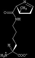 Formazione del legame peptidico amminoacido 1 amminoacido 2 legame covalente