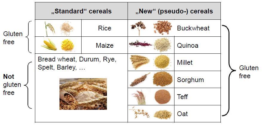 Cereali Cereali minori e pseudo cereali Senza