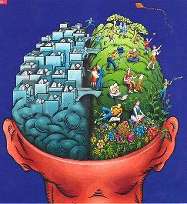 Destra e sinistra Nella corteccia cerebrale di sinistra sono situati i centri cerebrali della parola, della scrittura, della lettura.