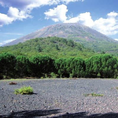 Il territorio del Parco Nazionale del Vesuvio è il loro miglior fornitore : i tipici prodotti rappresentano materie prime di eccellenza offerte da una terra generosa.