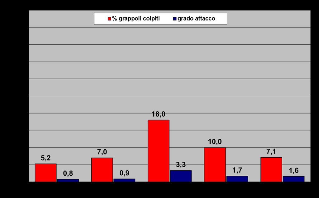 COCCINIGLIA ALLA RACCOLTA - TEST D10b