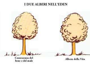 2 questo è l albero della vita. Noi siamo di passaggio: è una frase che di solito si dice ai funerali. Diversi anni fa, questa chiesa era molto famosa: venivano a confessarsi anche le principesse.