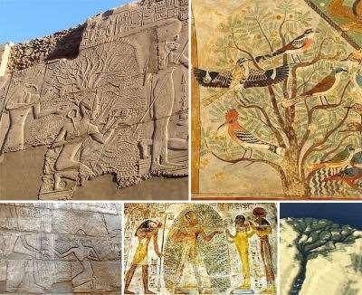 Noi siamo qui, per realizzare un progetto, per realizzare noi stessi in questo momento presente: Albero della vita nell arte egizia Noi siamo immortali, ma sulla Terra non lo siamo: siamo vita