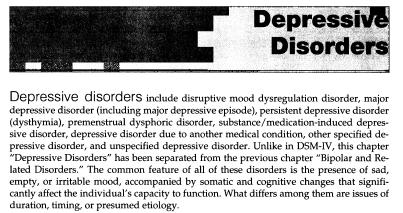 DSM 5