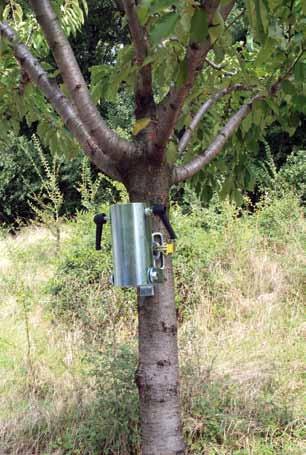 Ideale per pressare le borre. In acciaio brunito e ottone. Con impugnatura in legno. TZ.