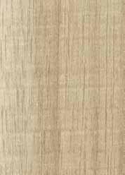 stagno RAL 3009 RAL