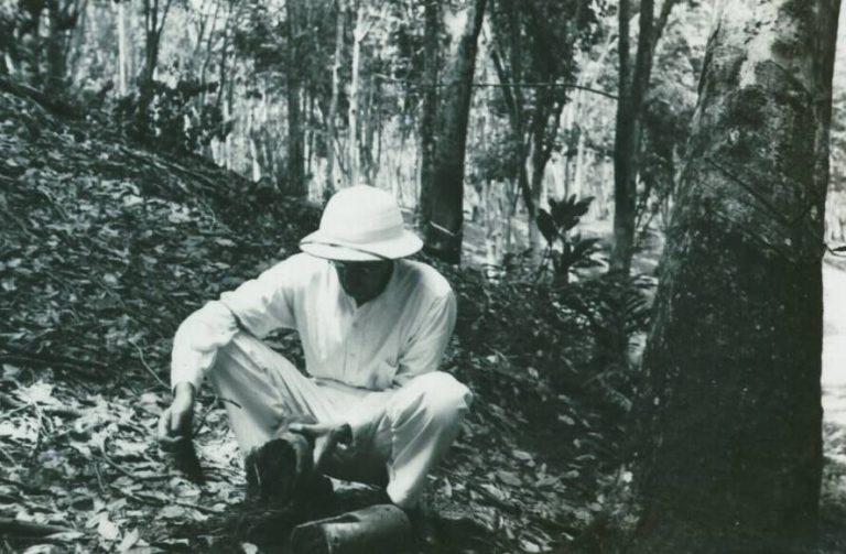 George McDonald (1903-1967), medico inglese in Sierra Leone e poi in India, completando le osservazioni sulla trasmissione della malaria di R.