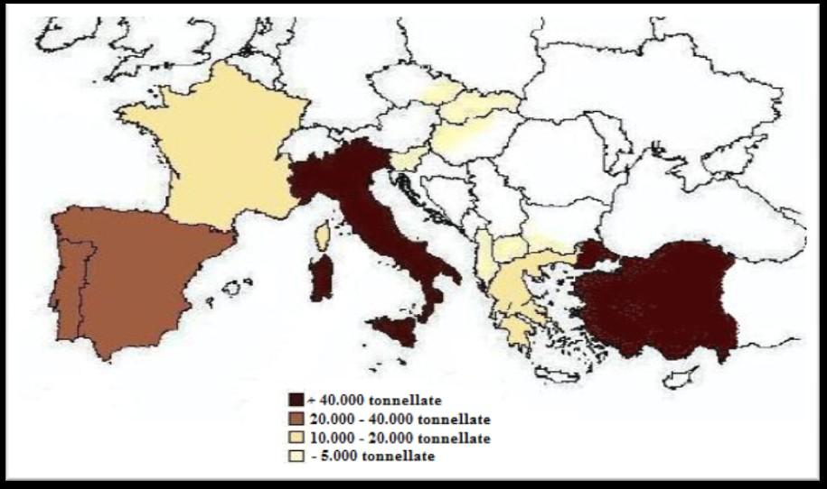 Tonnellate Grafico 1 Andamento della produzione castanicola mondiale (1960-2010) (A.R.E.F.L.H.