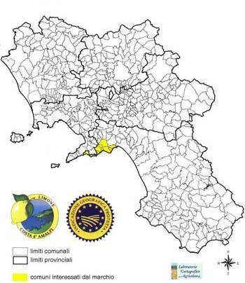 L importanza del limone in Costa d Amalfi si esprime su differenti piani: accanto a quello Figura 2 Aree di Pr
