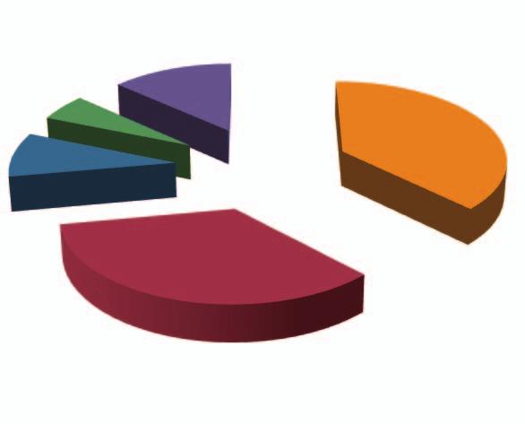 Domanda Energia Primaria 2011 13,3% 5,5% 37,5% Petrolio 184,2 Mtep -1,9% rispetto 2010