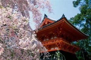 9 giorno, 16 maggio KYOTO: festival AOI MATSURI e Fushimi Inari (B/-/-) Prima colazione in hotel.