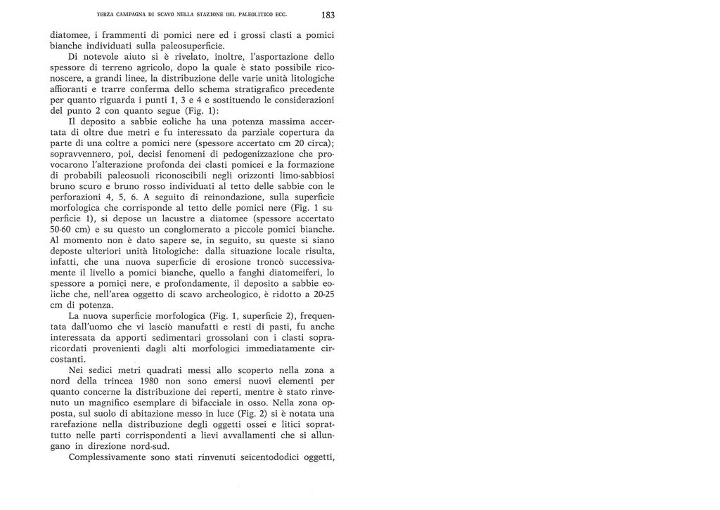 TERZA CAMPAGNA DI SCAVO NELLA STAZIONE DEL PALEOLITICO ECC. 183 diatomee, i frammenti di pomici nere ed i grossi clasti a pomici bianche individuati sulla paleosuperficie.