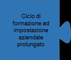 2.1.3 Ciclo di formazione ad impostazione aziendale prolungato Alle persone con esigenze particolari può essere concesso più tempo per acquisire le competenze operative definite nell ordinanza.