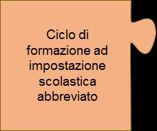 2.1.5 Ciclo di formazione ad impostazione scolastica abbreviato Se una persona è particolarmente capace o ha svolto una formazione preliminare, il ciclo di formazione ad impostazione scolastica può