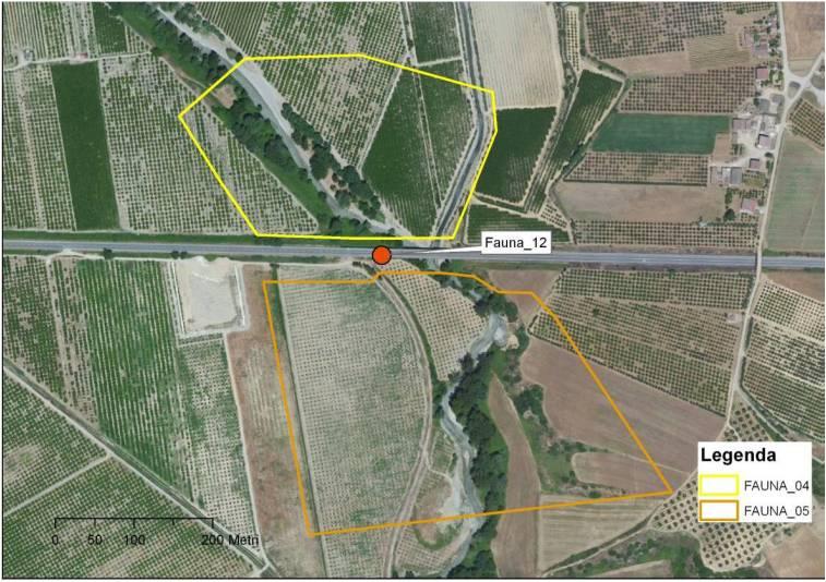 CORSO D OPERA Figura 3 Area d'indagine Fauna 12 Fauna 13 L area è localizzata in prossimità dello