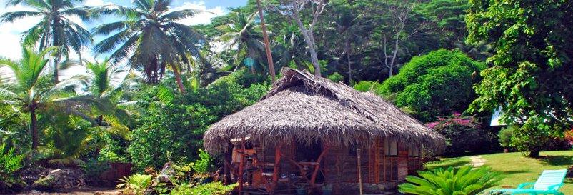 La pensione dispone di 4 confortevoli bungalow in reale stile polinesiano, completamente costruiti a mano, immerso in un lussureggiante giardino