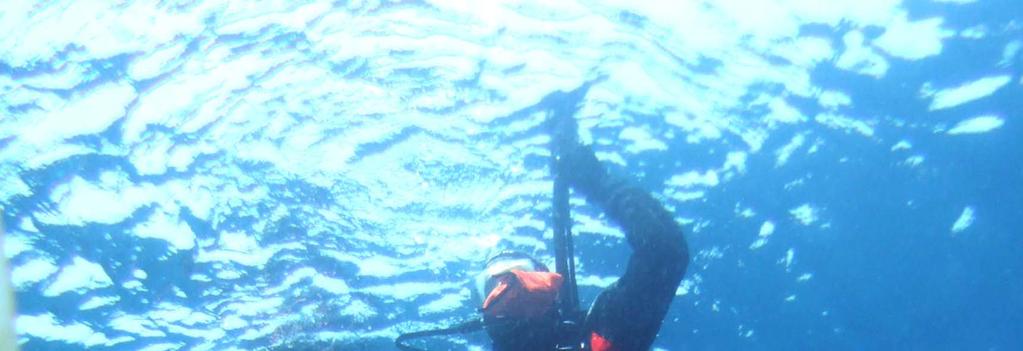 Alcuni prezzi: Battesimo del Mare Discover Scuba Diving: 85,00 (1 lezione Teoria, 1 lezione Piscina, 1 immersione in mare inclusa attrezzatura) Il programma Discover Scuba Diving rappresenta il primo