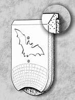 I pipistrelli hanno precise abitudini di ricerca ed esigenze abitative che sono state prese in considerazione durante lo sviluppo di questo prodotto e nei lunghi anni di esperienza ad esso legati.