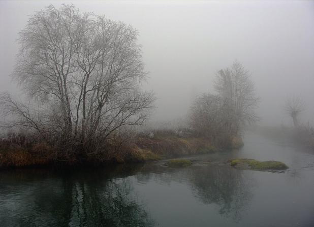 NOVEMBRE Gli alberi ormai spogli, si mostrano alla finestra: tristi, attendono i colori perduti. Chiara D Amato La neve danza sulla città grigia.