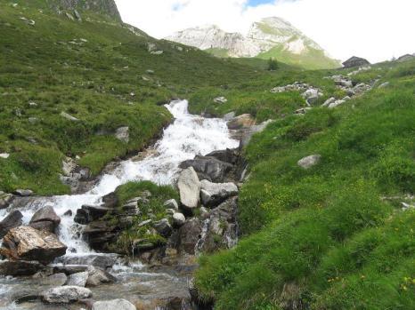 GIUGNO E finita la scuola! Vacanze in arrivo Karima Soliman Dalle acque del ghiacciaio scende un nuovo ruscello. L erba cresce verde sui pendii.. Voglia di correre!