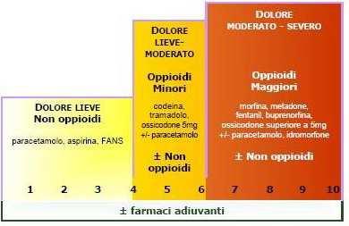 Figura 1: Scala a tre gradini dell OMS per la terapia del dolore.