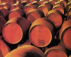 6605 0900 le vin scelta da intenditore Le Vin è una collezione fatta per degustare i vini al meglio; una linea con una