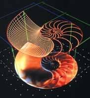 Conoscene Ñ Elementi di base della geometria Ñ Sistemi e strumenti di misura