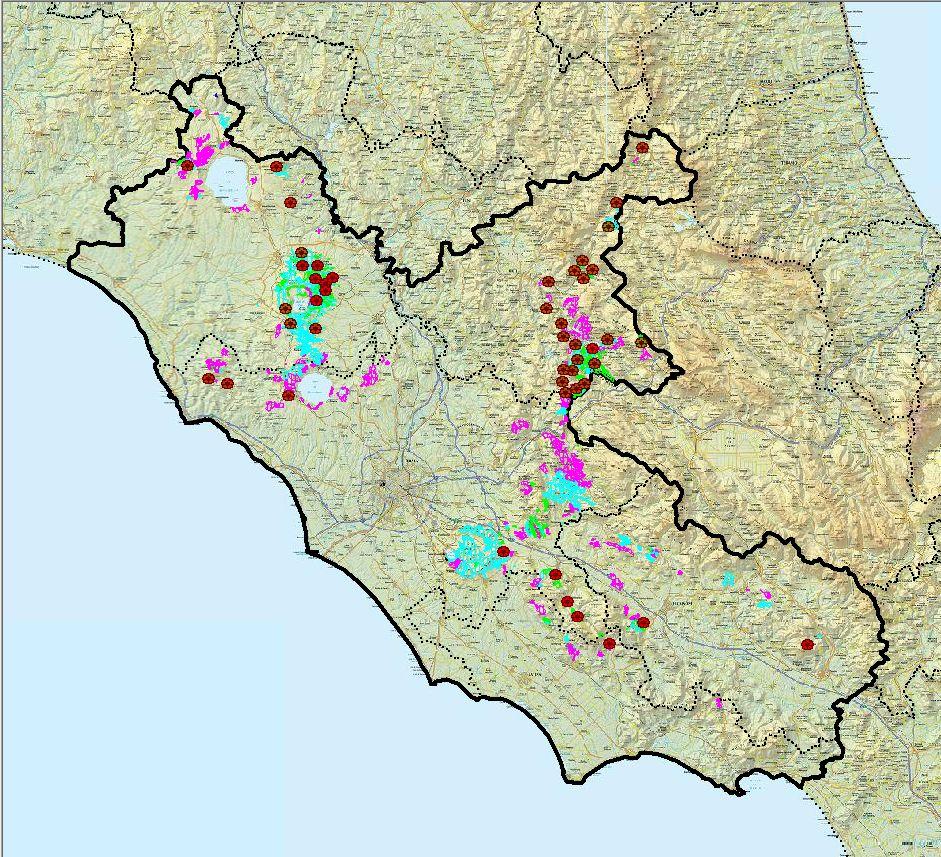 Quadro varietale del castagno da frutto nel Lazio Dal punto di vista varietale e commerciale, le produzioni laziali appartengono quasi interamente alle tipologie di MARRONE e CASTAGNA (incidenza