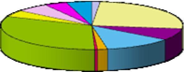 Feltrino 7% Civetta 11% Cortina d'ampezzo 29% PRESENZE TOTALI Comelico - Sappada 5% Conca Agordina 1% Feltrino 4% Val