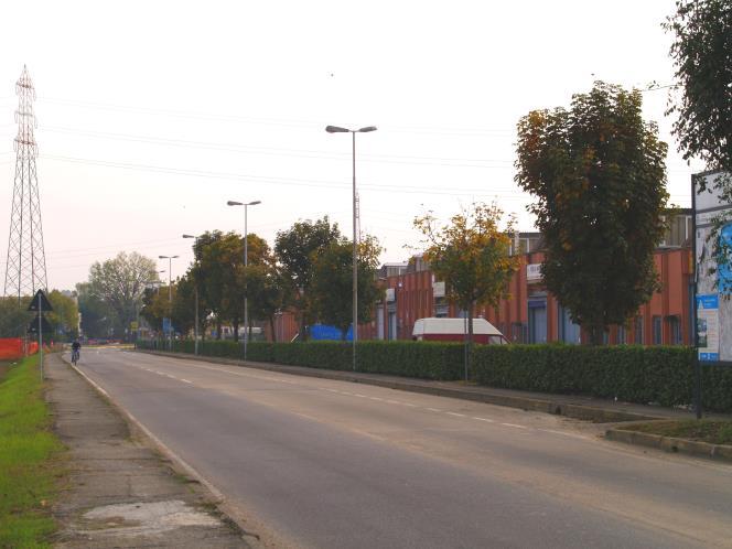 destro, dove, all interno di una lunga siepe di Lauroceraso (Prunus laurocerasus)