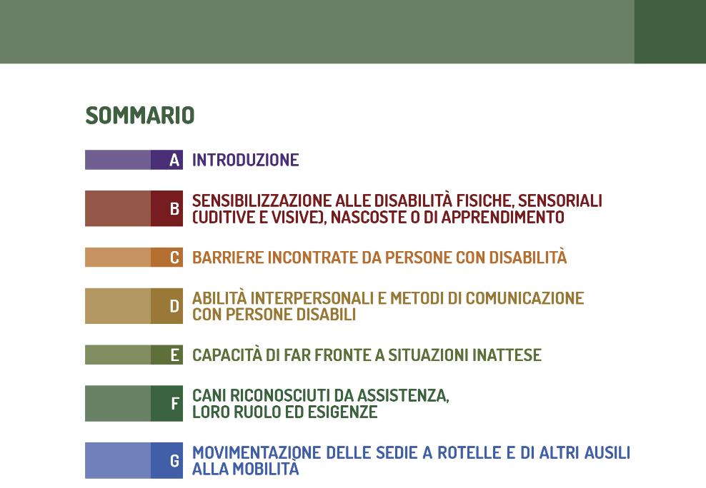 EGAF-ANAV Convenzione sulla formazione alla disabilità Considerando 13 Reg.