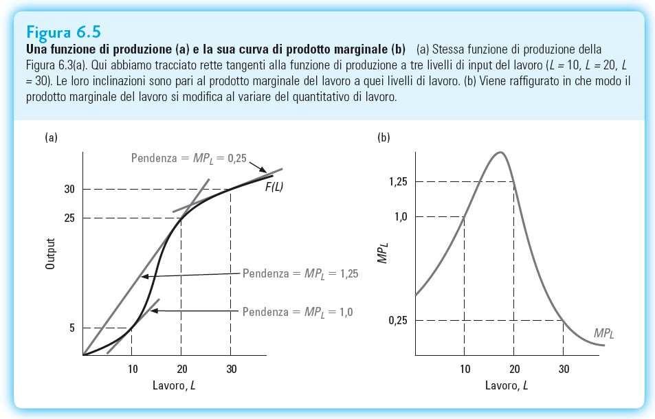 AP E MP e la funzione di