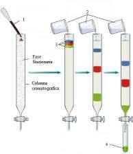 L HPLC è una tecnica di cromatografia liquida che consente di