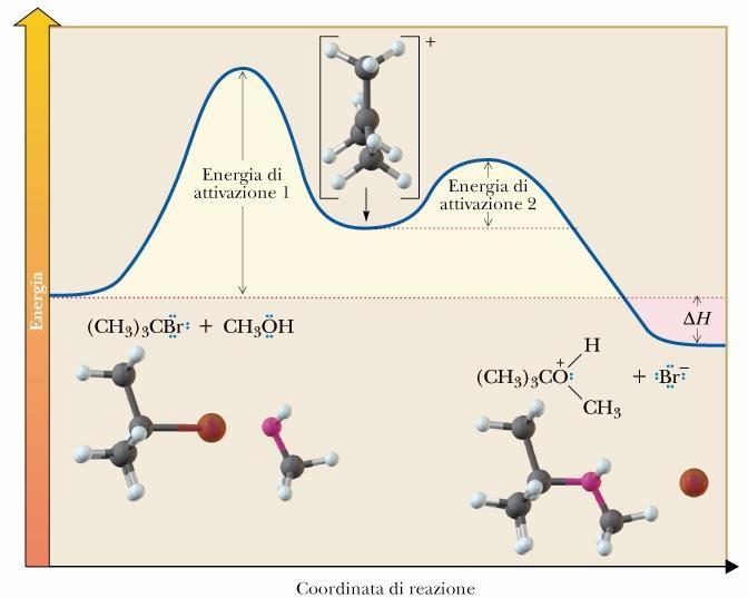 Quando il solvente rappresenta anche il nucleofilo la reazione viene chiamata solvolisi