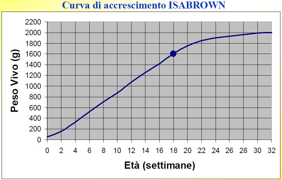 Parametro importante da controllare durante il ciclo di allevamento