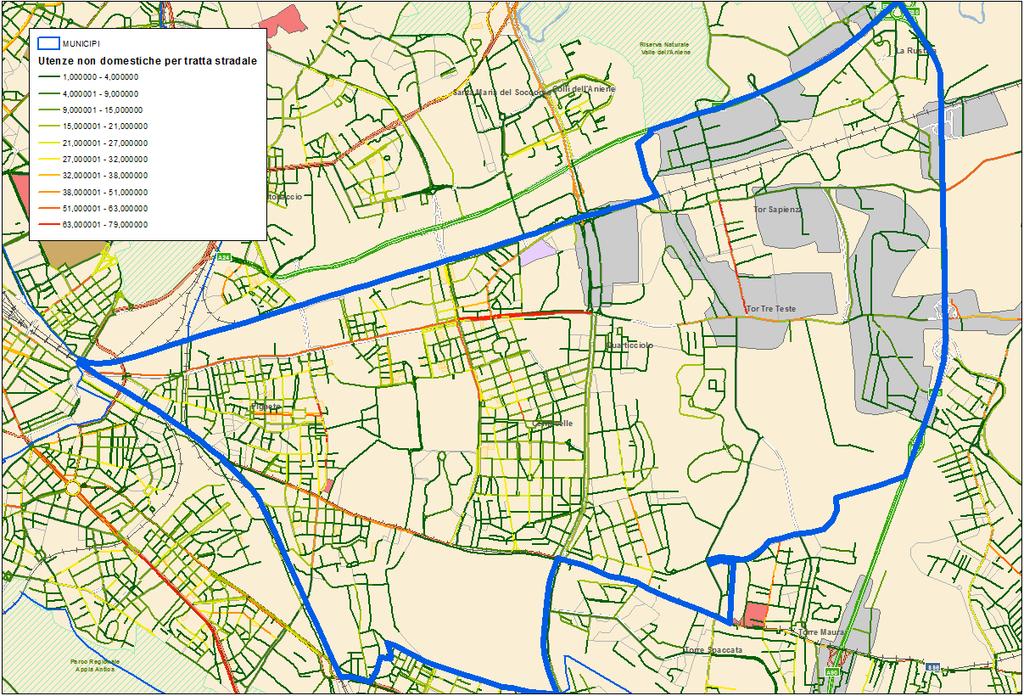 Domanda di Servizio Municipio V Distribuzione delle utenze non domestiche