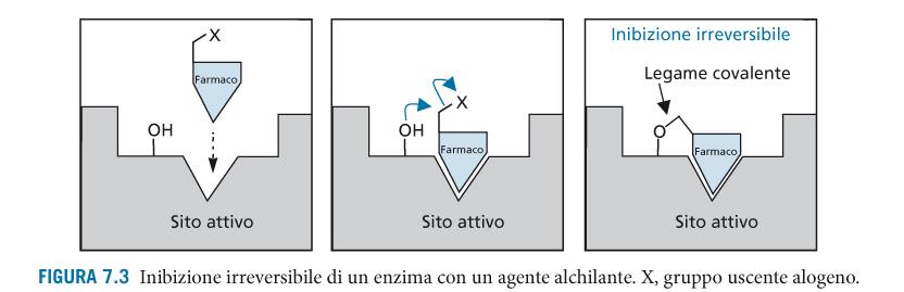 Inibizione enzimatica Gli inibitori irreversibili si legano in genere a gruppi OH (es.