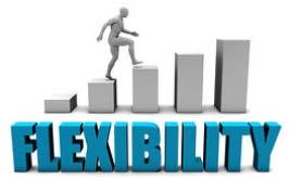 Diverse soluzioni Il codice prevede flessibilità e possibilità di scegliere fra diverse soluzioni.