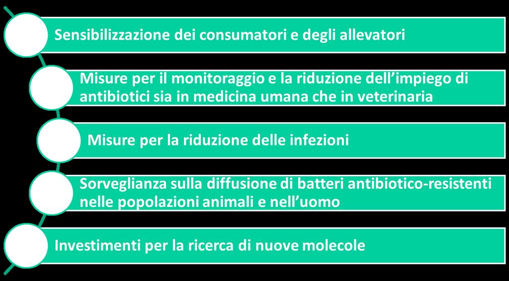 In relazioni a questi dati, le Agenzie internazionali e la