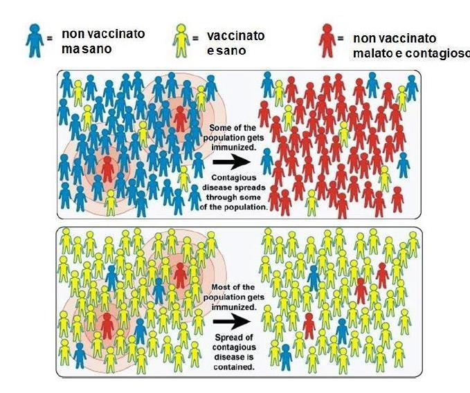 Le vaccinazioni non proteggono soltanto la persona vaccinata ma, interrompendo la catena epidemiologica di trasmissione dell infezione, agiscono indirettamente anche sui soggetti non vaccinati,