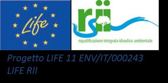 RII Life11 ENV/IT/243 REPORT FINALE Completamento delle attività previste nell ambito