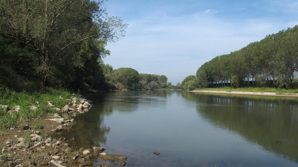 5 Fiume Oglio nei pressi della RN Le Bine LA RISERVA NATURALE TORBIERE DI MARCARIA Le torbiere di Marcaria sono situate in Comune di Marcaria (MN) e costituiscono una piccola zona umida racchiusa